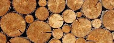 Wat is hout?