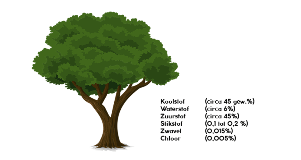 Chemische samenstelling van een boom