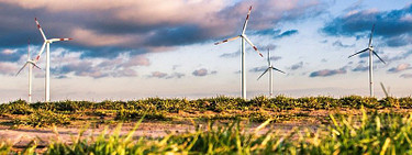 Energielabels voor haarden en kachels