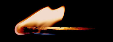 BLOG: Hout stoken met kennis